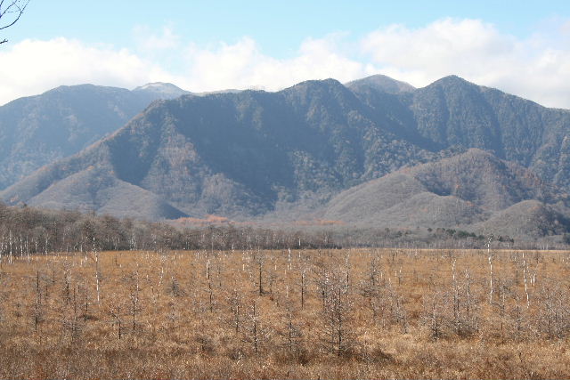 e0064133_21594635.jpg