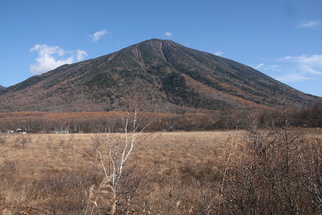 e0064133_21595757.jpg