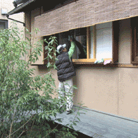 d0033734_1282022.gif