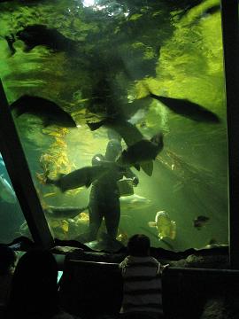 f0048134_20103590.jpg
