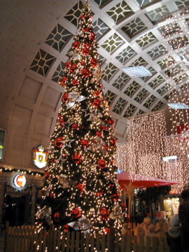 c0118237_520202.jpg