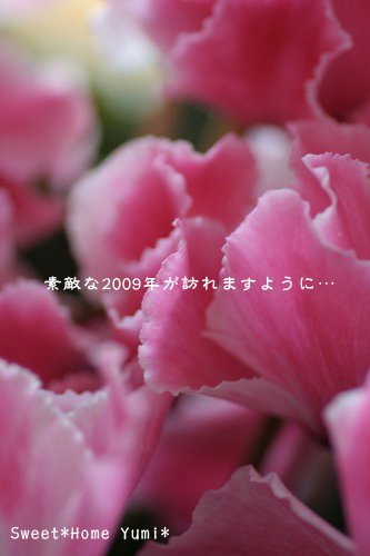 c0083439_13492620.jpg