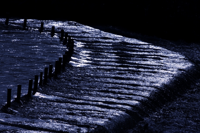 d0152341_22304352.jpg