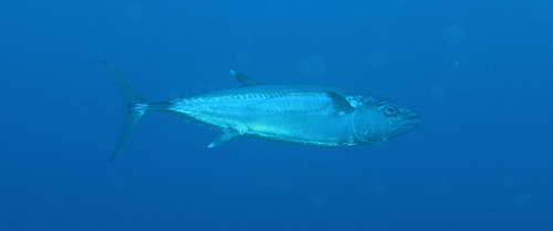 f0014842_18554229.jpg