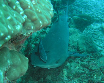 f0014842_18555952.jpg