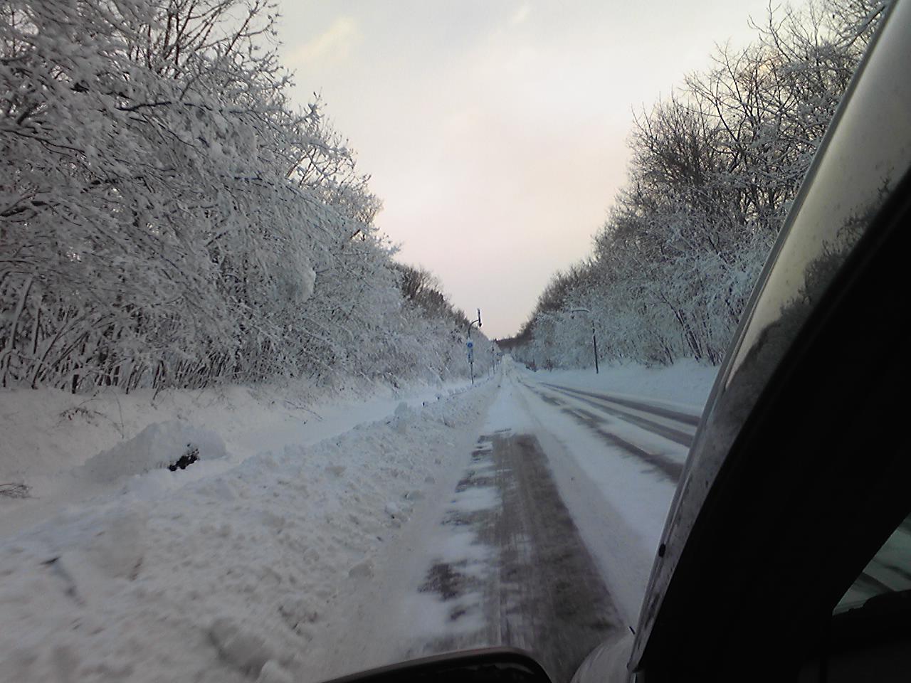 b0122046_11493222.jpg