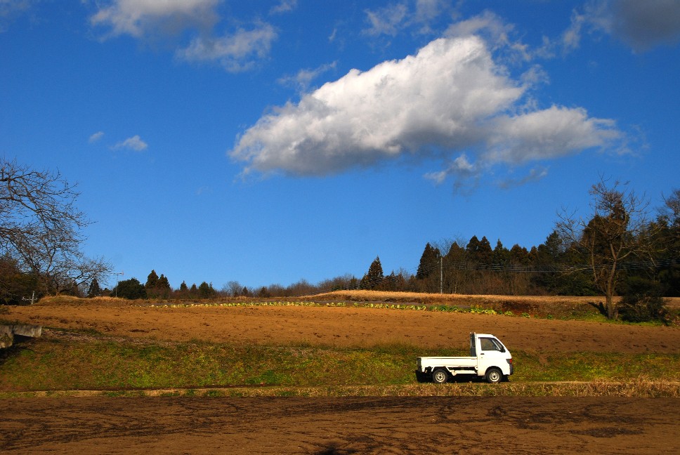 e0009147_20435799.jpg