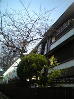 e0148948_1152627.jpg