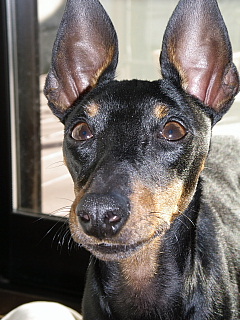 c0123149_002390.jpg