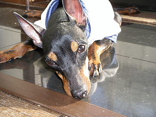 c0123149_004450.jpg