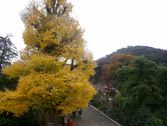 f0176458_1216688.jpg