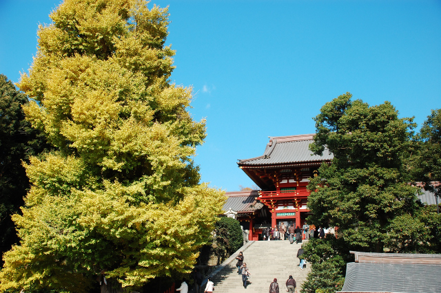 f0176458_126475.jpg