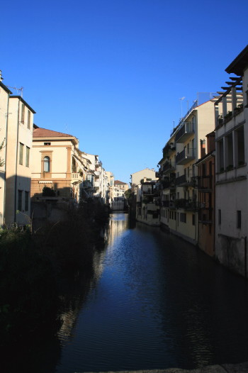 f0077159_1304961.jpg
