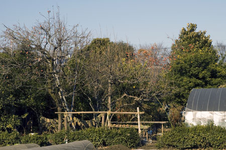 b0134364_18461558.jpg