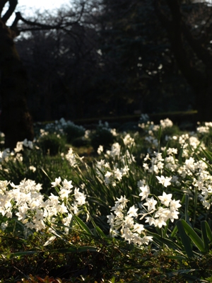 c0102268_15341436.jpg