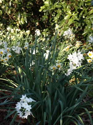 c0102268_15345452.jpg