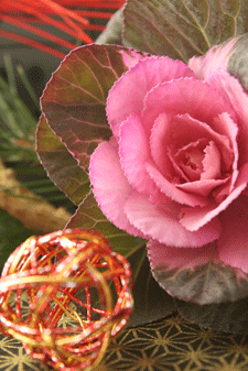 c0167576_804752.gif