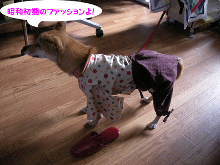 e0066883_21435774.gif