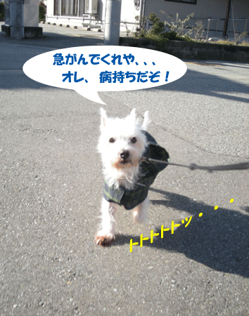 e0066883_21541039.gif