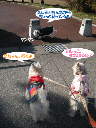 e0066883_21544217.gif