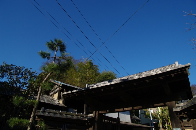 d0124687_232822.jpg