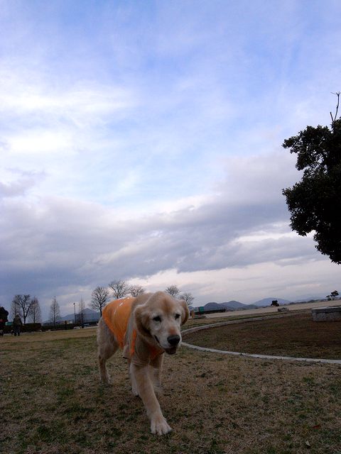 a0093592_0351685.jpg