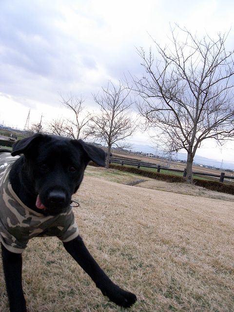 a0093592_035315.jpg