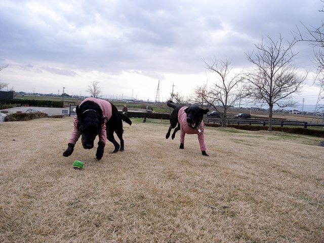 a0093592_0354731.jpg