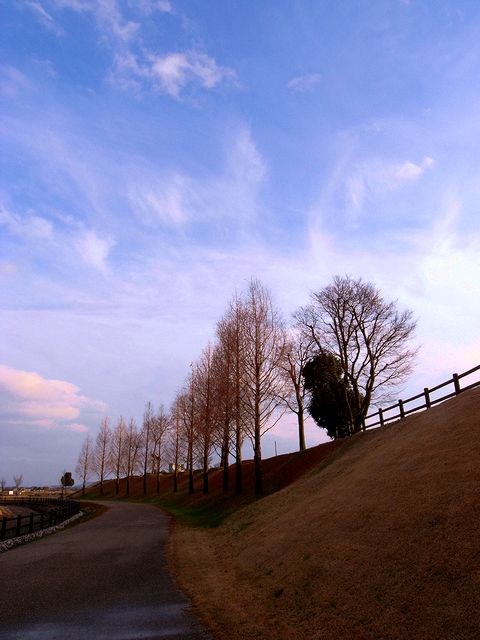 a0093592_0394043.jpg