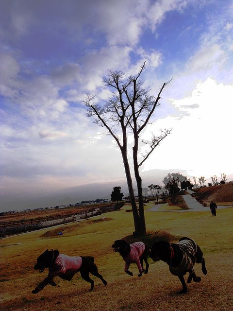 a0093592_0421878.jpg