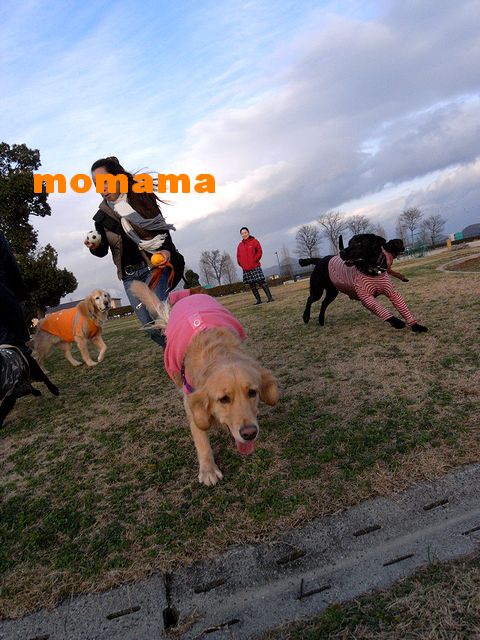 a0093592_0535258.jpg
