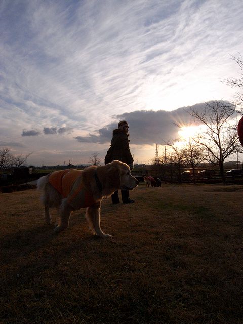 a0093592_114121.jpg