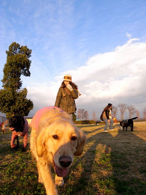 a0093592_1151227.jpg