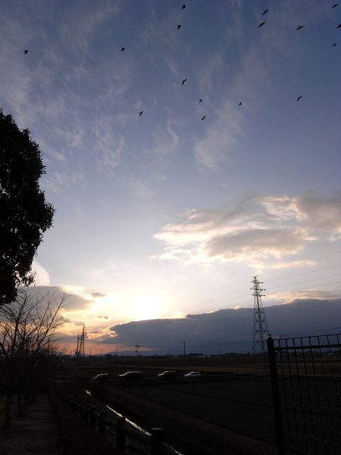 a0093592_1152698.jpg