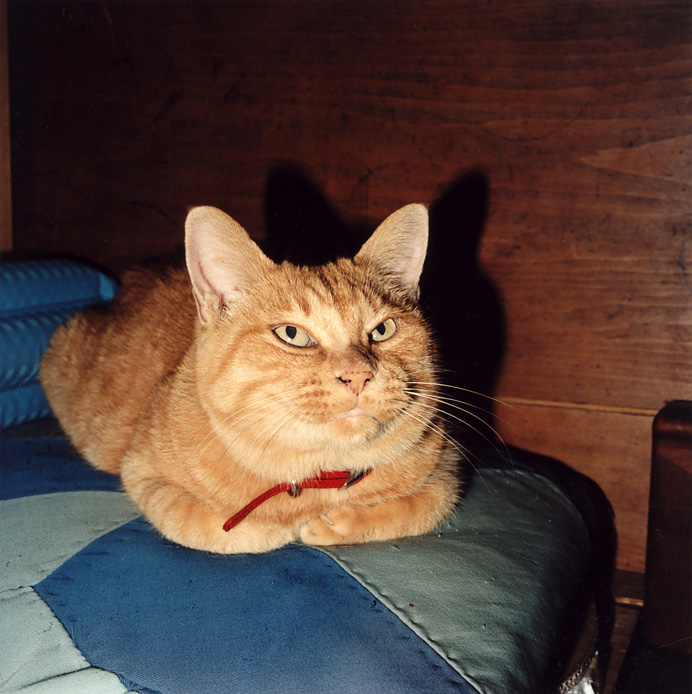 f0108399_0265320.jpg