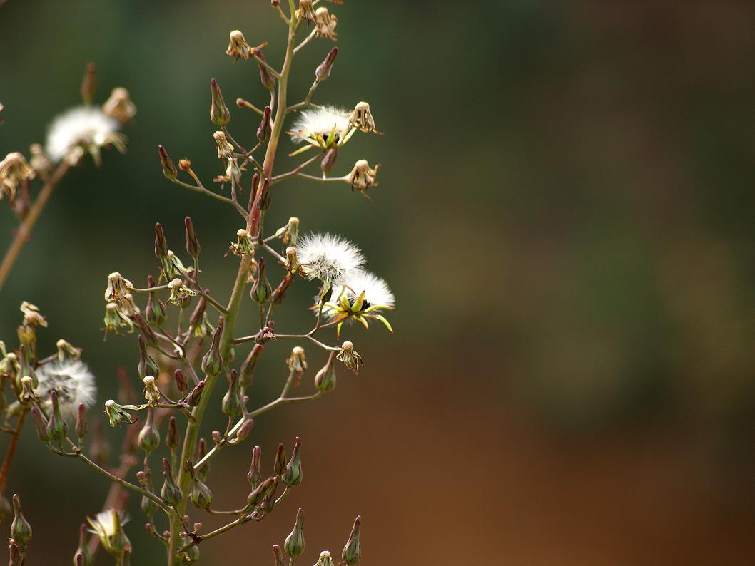 b0138101_0552627.jpg