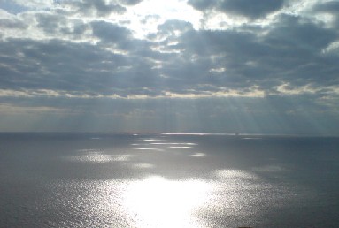 a0000202_20255365.jpg