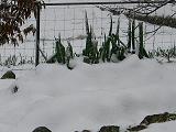 e0119003_23524197.jpg