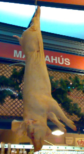 f0021504_0232910.jpg