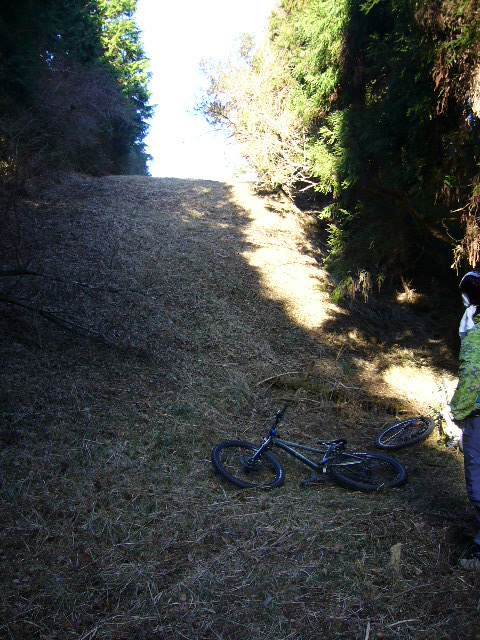 e0015108_0191873.jpg
