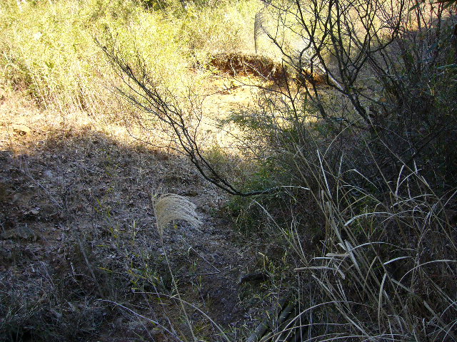 e0015108_0235698.jpg