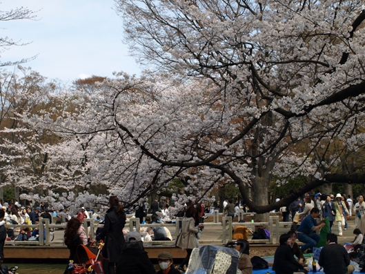 e0083212_792013.jpg