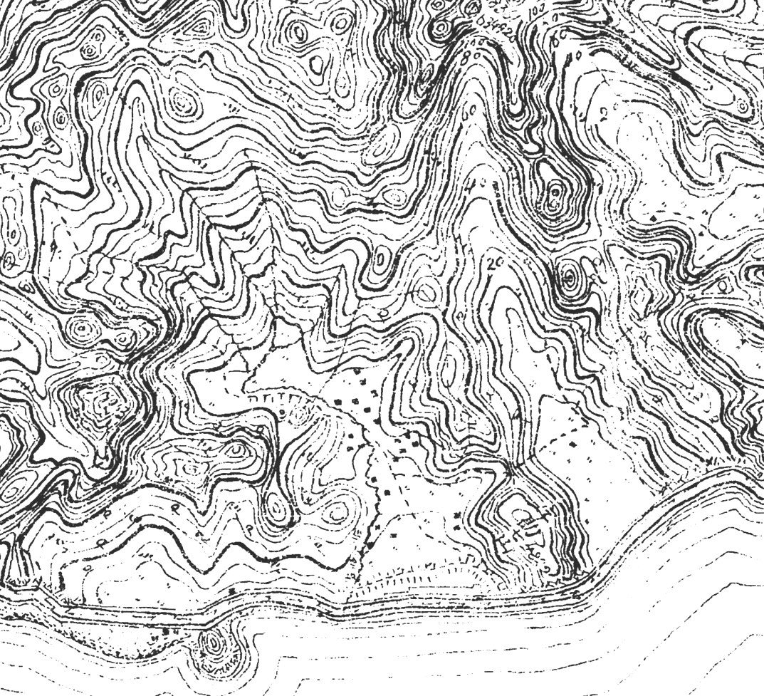 e0125014_5482542.jpg