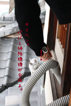e0156015_2361529.jpg