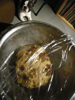 c0144016_1395847.jpg