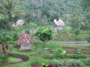 c0149717_9334177.jpg
