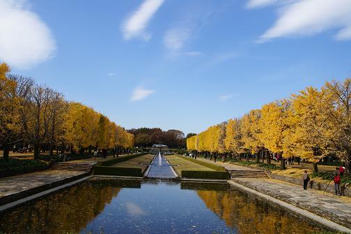 e0021121_1125319.jpg