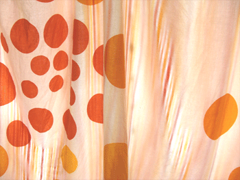 d0002224_12101491.gif