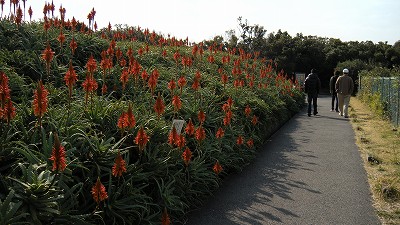 d0044825_22161435.jpg