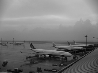 e0107725_144593.jpg